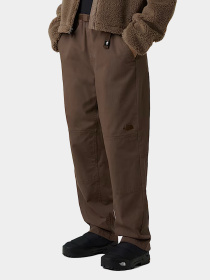 Брюки The North Face модель NF0A8B611OI1 Фото
