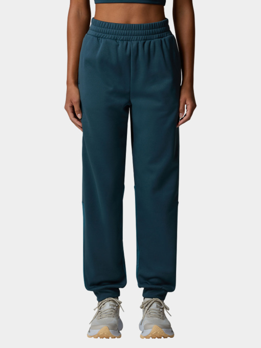 Брюки The North Face модель NF0A8DXYDOK1 Фото