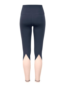 Легінси спортивні Tchibo модель T1754936400 Легінси спортивні Tchibo модель T1754936400 Фото