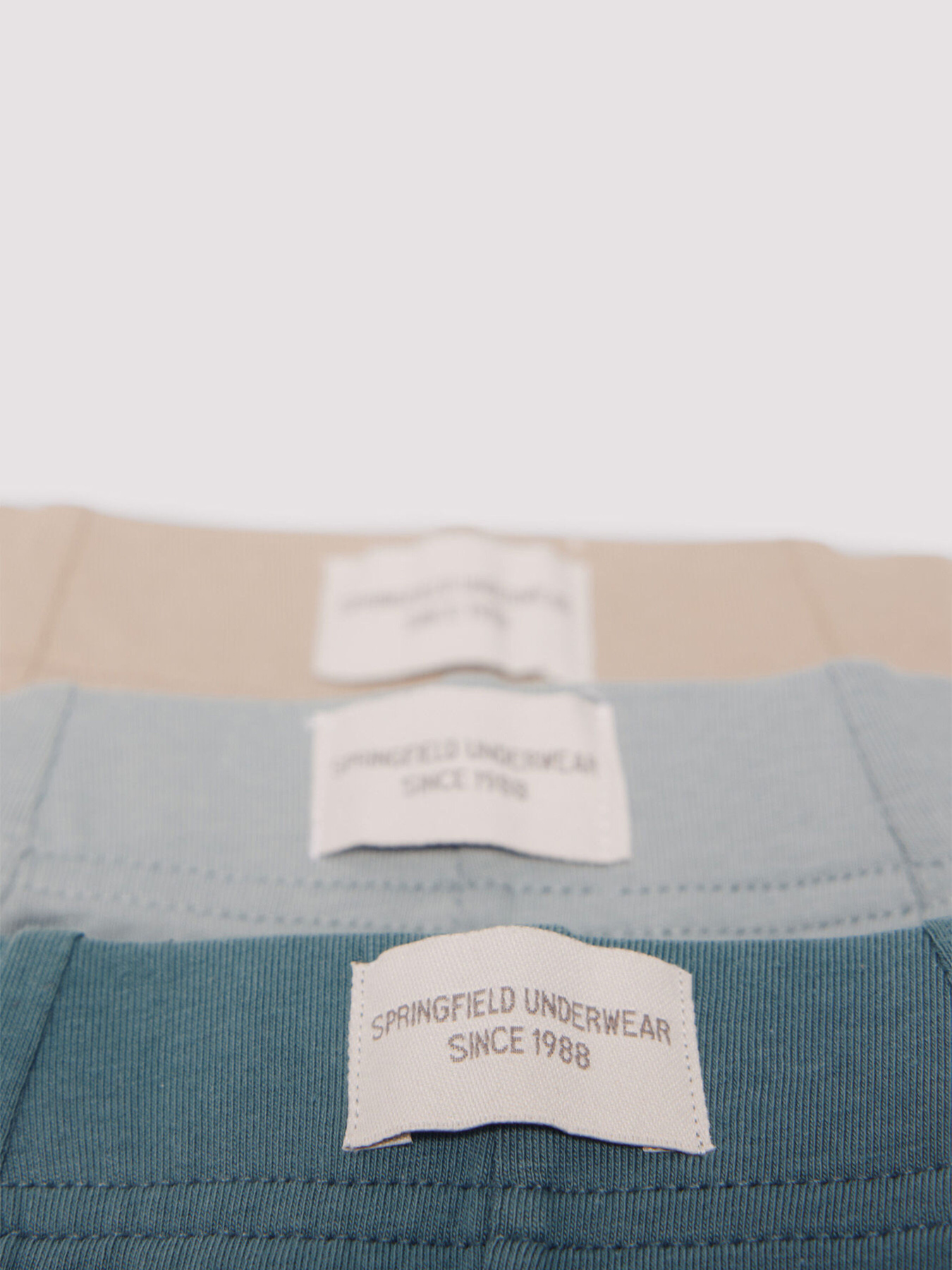 Набор трусов SPRINGFIELD модель 1252177-83 Фото