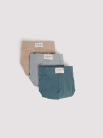 Набор трусов SPRINGFIELD модель 1252177-83 Фото