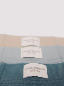 Набор трусов SPRINGFIELD модель 1252177-83 Фото