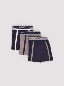 Набор трусов SPRINGFIELD модель 1252180-11 Набор трусов SPRINGFIELD модель 1252180-11 Фото