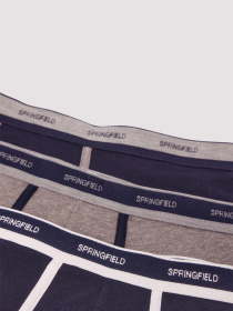 Набор трусов SPRINGFIELD модель 1252180-11 Набор трусов SPRINGFIELD модель 1252180-11 Фото