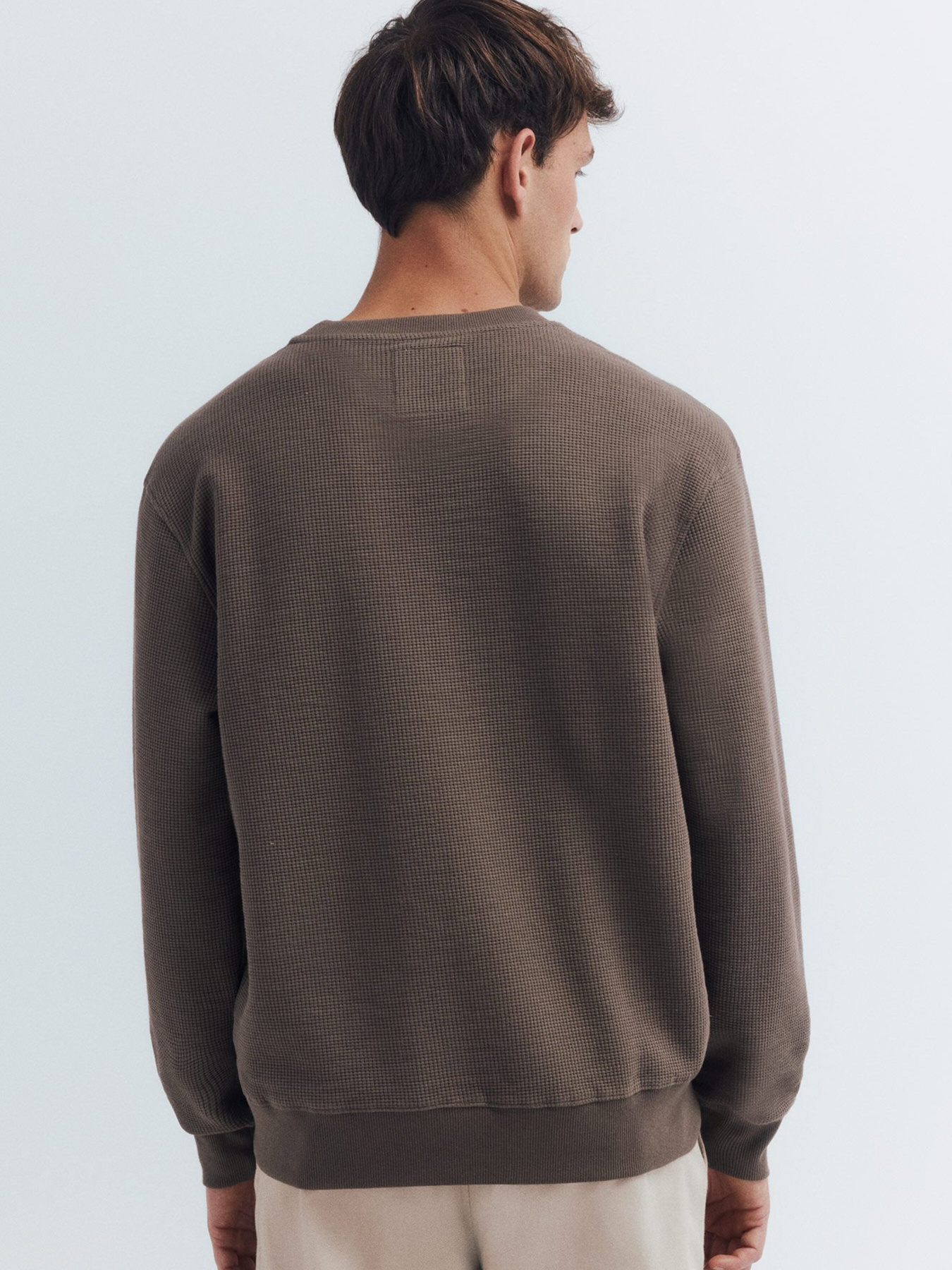 Лонгслив SPRINGFIELD модель 222059-35 Фото