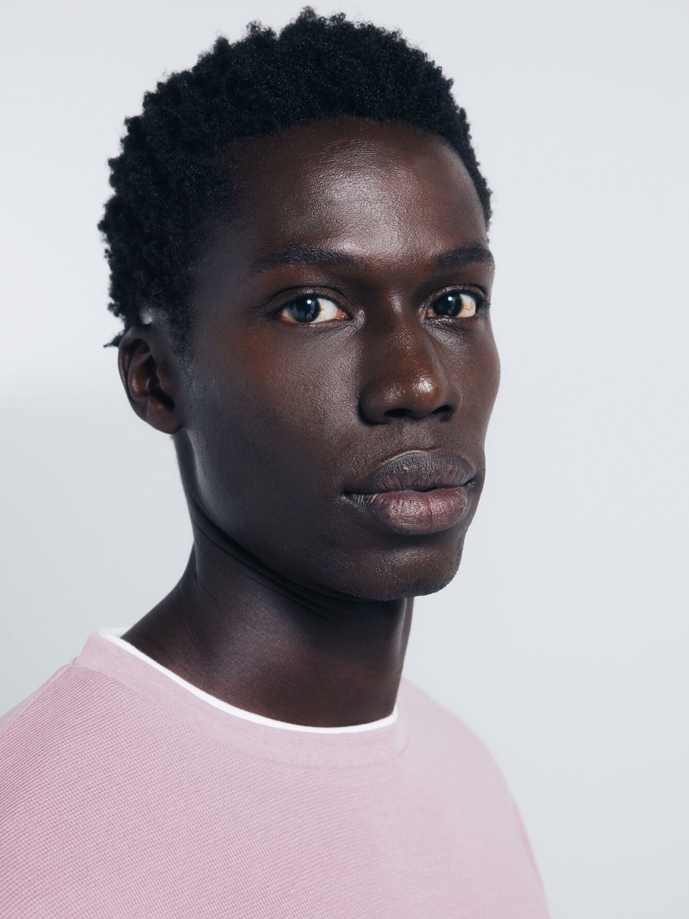 Футболка SPRINGFIELD модель 242444-67 Фото