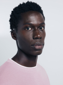 Футболка SPRINGFIELD модель 242444-67 Фото