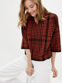 Джемпер Sewel модель JW862016400 Фото