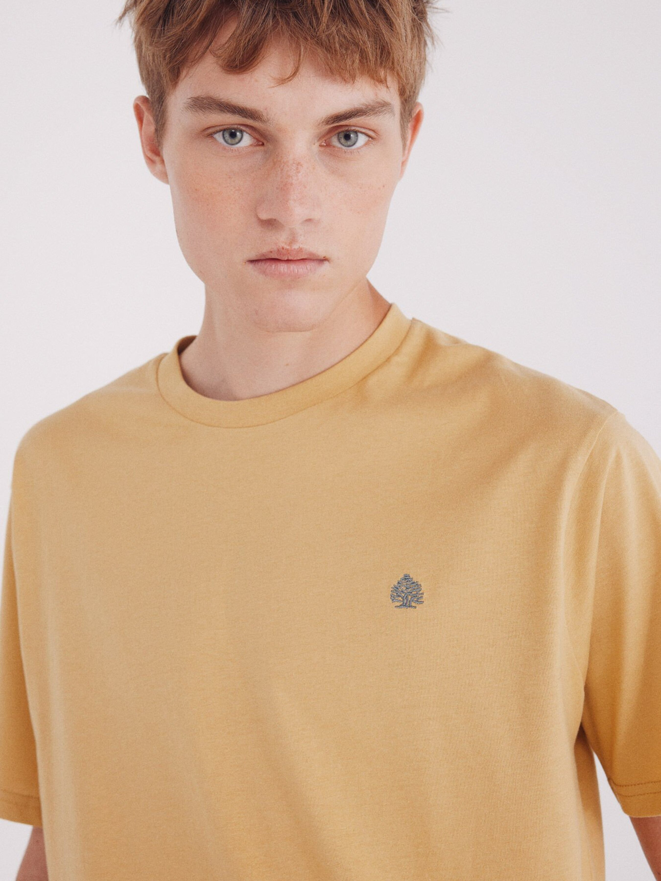 Футболка SPRINGFIELD модель 7122306-07 Фото