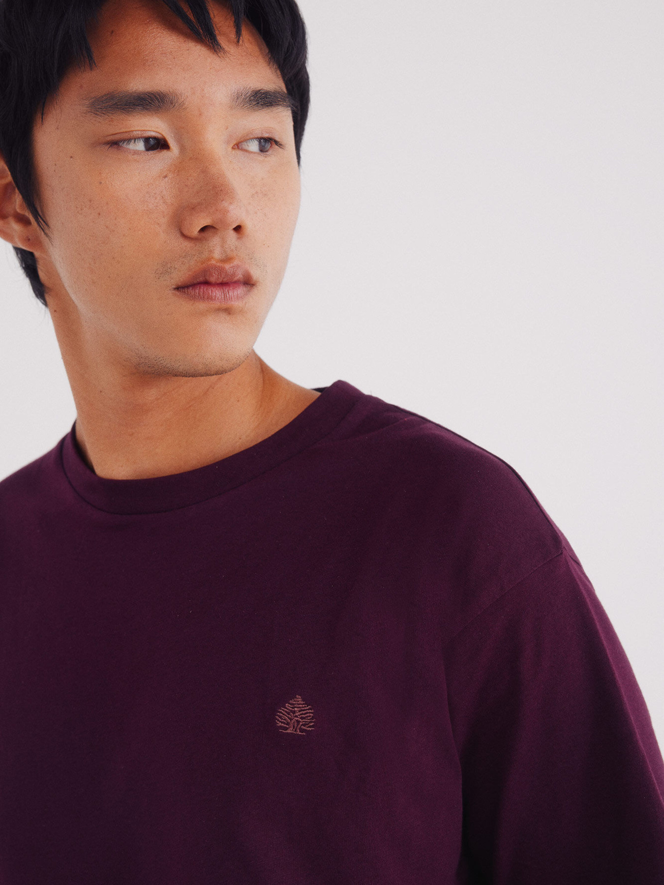 Футболка SPRINGFIELD модель 7122306-69 Фото