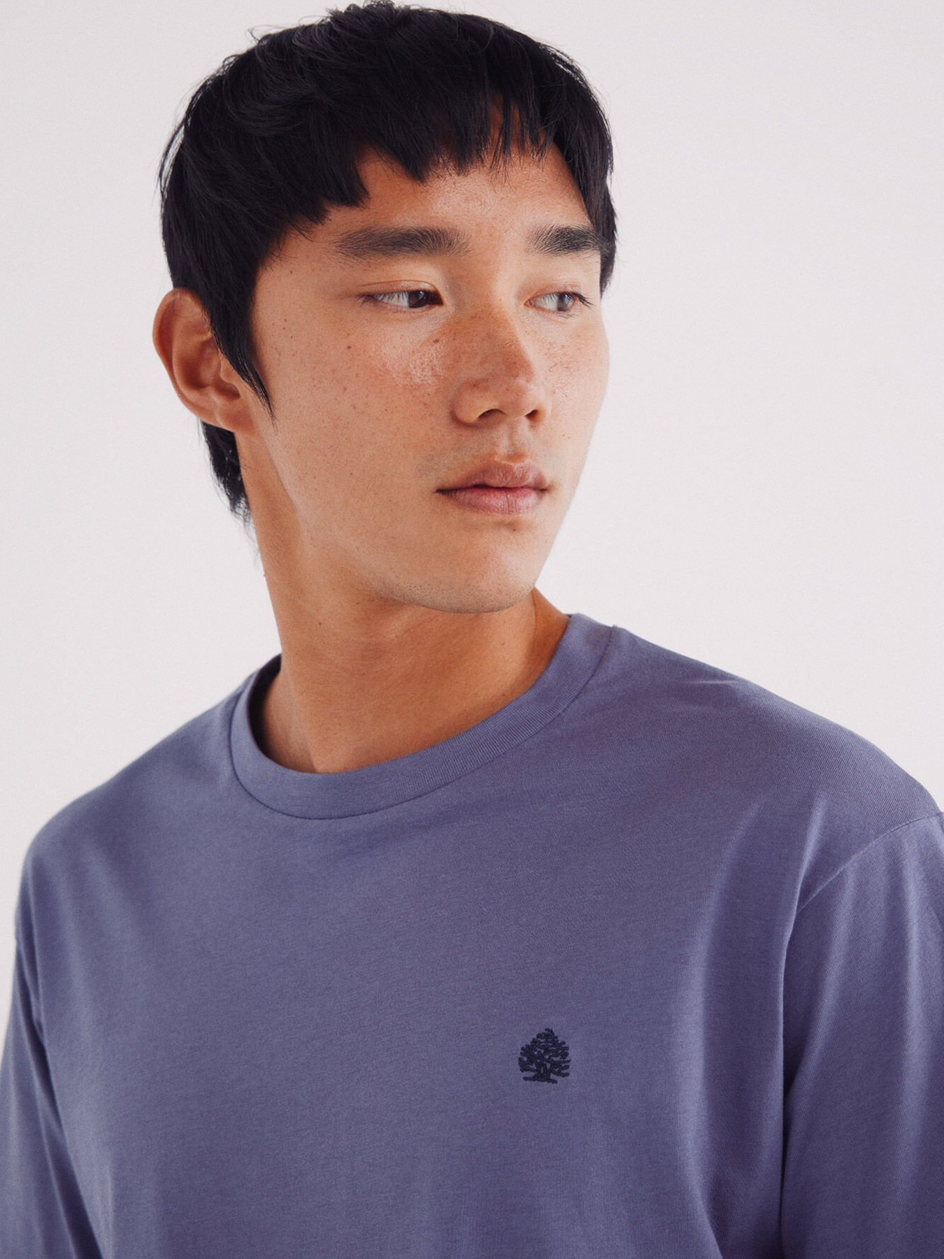 Футболка SPRINGFIELD модель 7122306-75 Фото