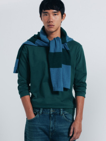 Лонгслив SPRINGFIELD модель 8832421-22 Фото