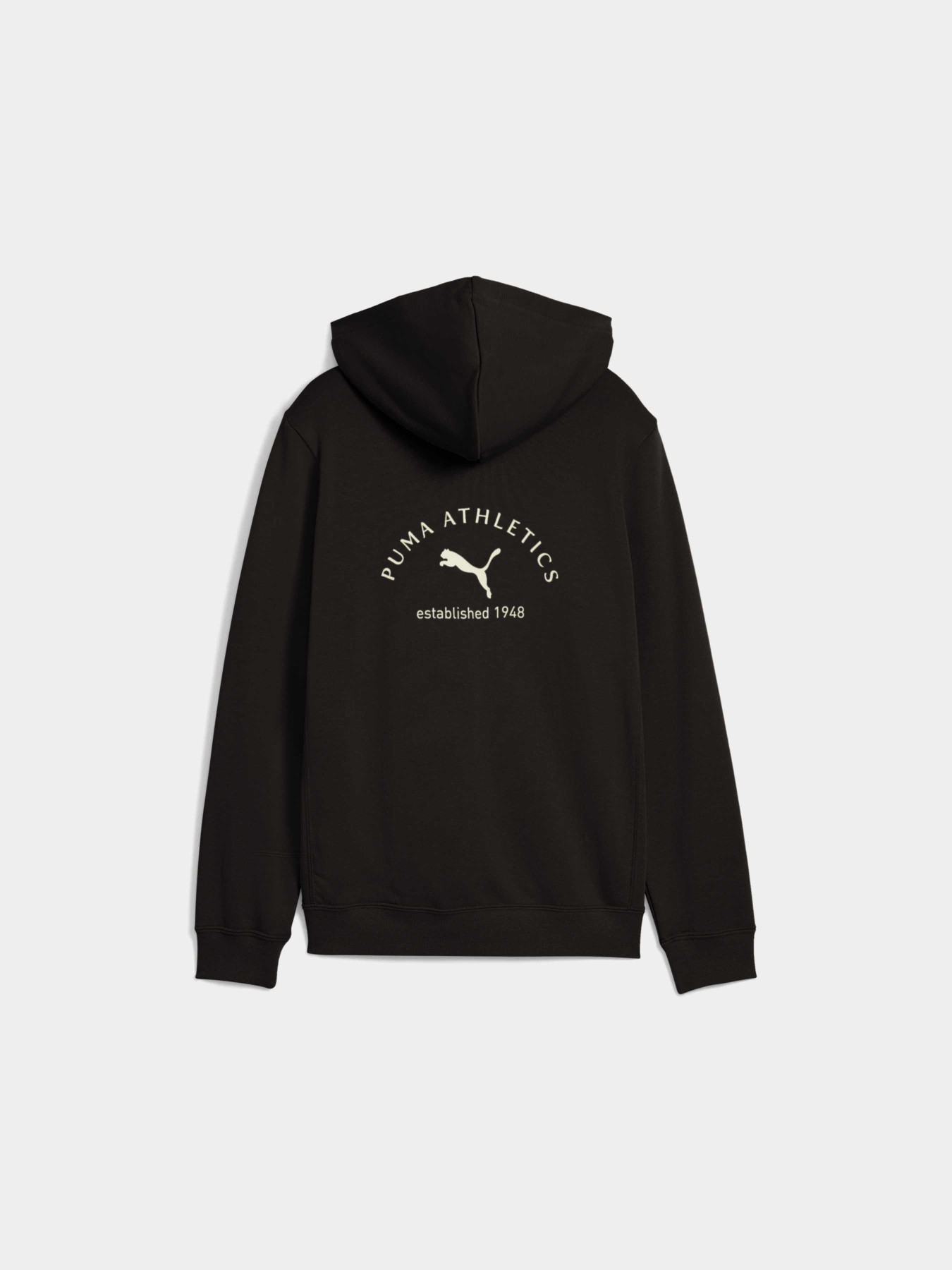 Худи PUMA Class Graphic Hoodie модель 688852 Фото