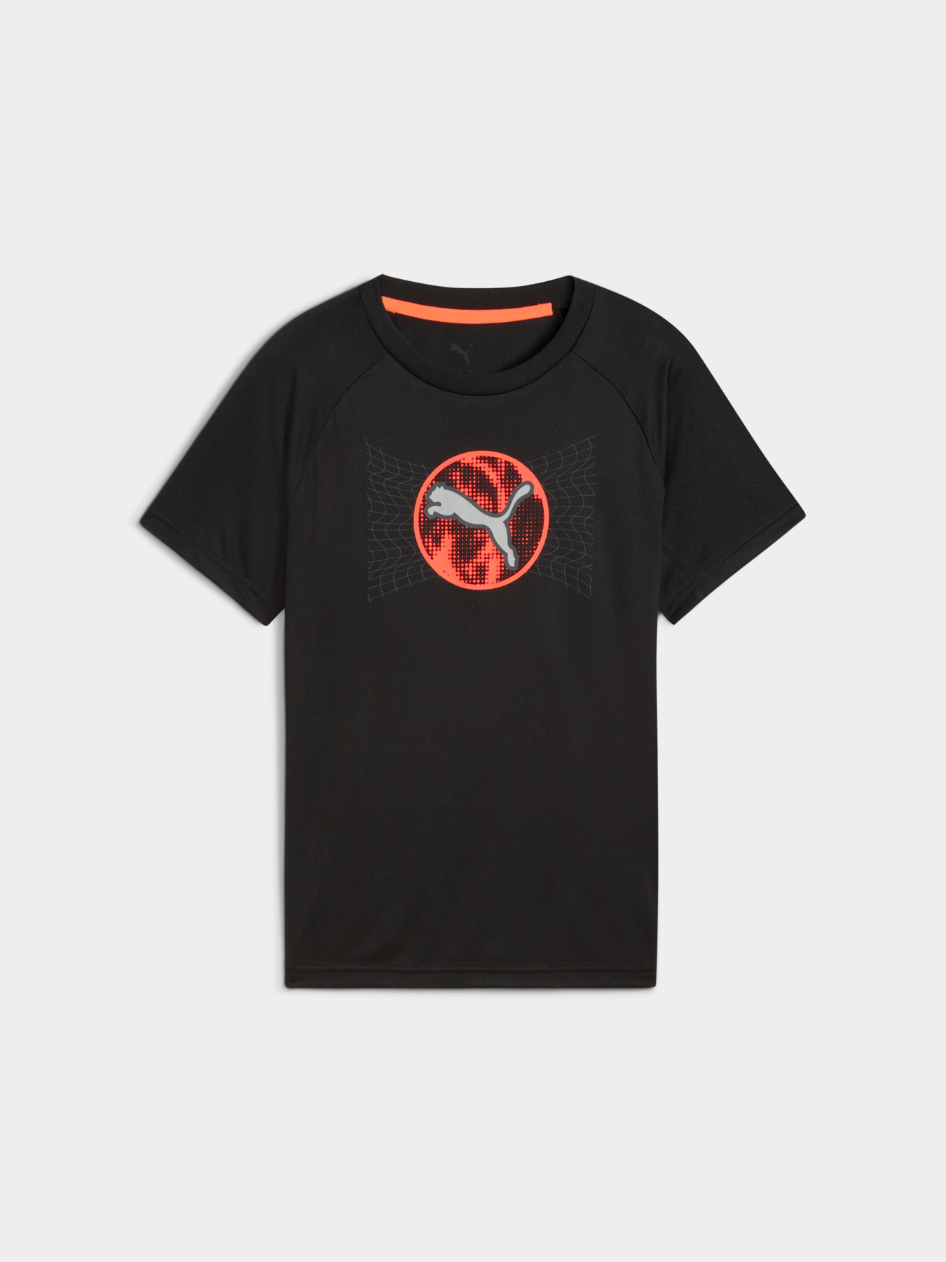 Футболки и поло PUMA Active Sports Poly Tee модель 527691 Фото