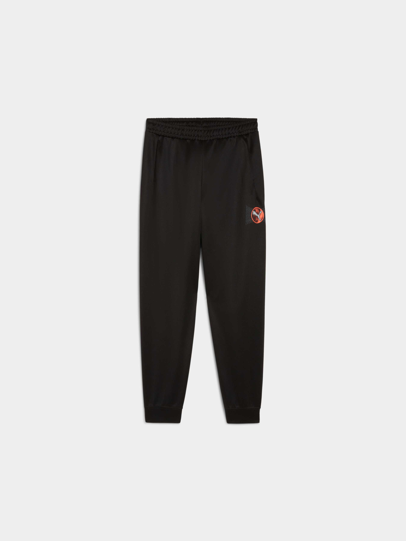 Штаны спортивные PUMA Active Sports Poly Pants модель 527693 Фото