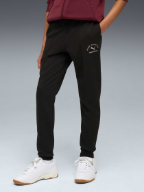 Штаны спортивные PUMA Class Sweatpants модель 688853 Фото