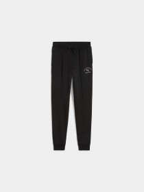 Штаны спортивные PUMA Class Sweatpants модель 688853 Фото