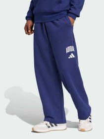 Брюки повседневные Adidas модель JM9179 Фото