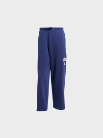 Повседневные штаны Adidas модель JM9179 Фото