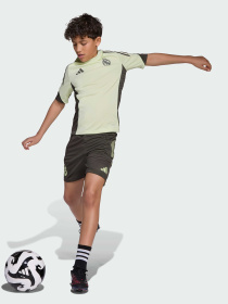 Футболка Adidas модель JP3976 Фото