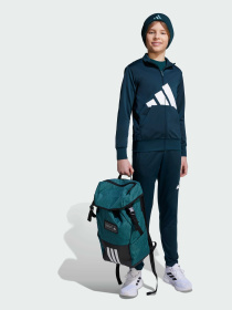 Спортивный костюм Adidas модель JV9960 Фото