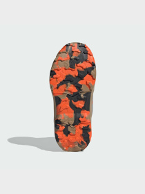 Ботинки Adidas Terrex модель JP9993 Фото