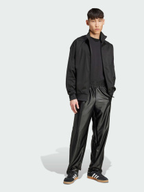 Брюки повседневные Adidas Adicolor модель JX1494 Фото