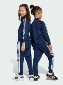 Костюм Adidas Adicolor модель JY1143 Фото