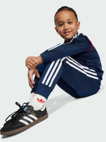 Повседневный костюм Adidas Adicolor модель JY1143 Фото