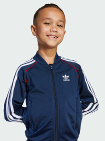 Повседневный костюм Adidas Adicolor модель JY1143 Фото