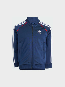 Повседневный костюм Adidas Adicolor модель JY1143 Фото