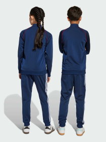 Джоггеры Adidas Adicolor модель JV8567 Фото