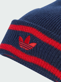 Шапка Adidas Adicolor модель JW7915 Фото