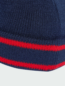 Шапка Adidas Adicolor модель JW7915 Фото