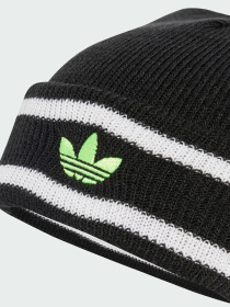 Шапка Adidas Adicolor модель JW7916 Фото