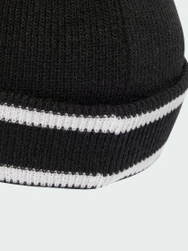 Шапка Adidas Adicolor модель JW7916 Фото