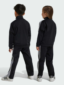 Спортивный костюм Adidas Adicolor модель IY4798 Фото