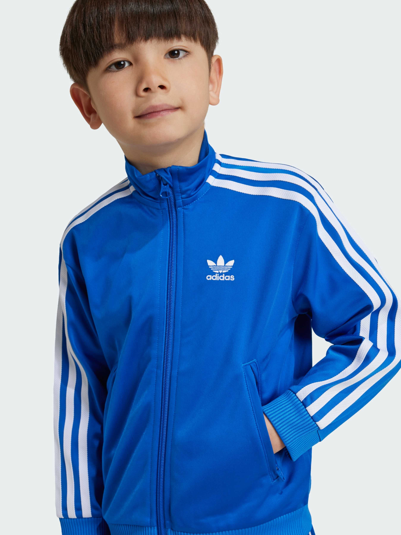 Спортивний костюм Adidas Adicolor модель IY4802 Фото