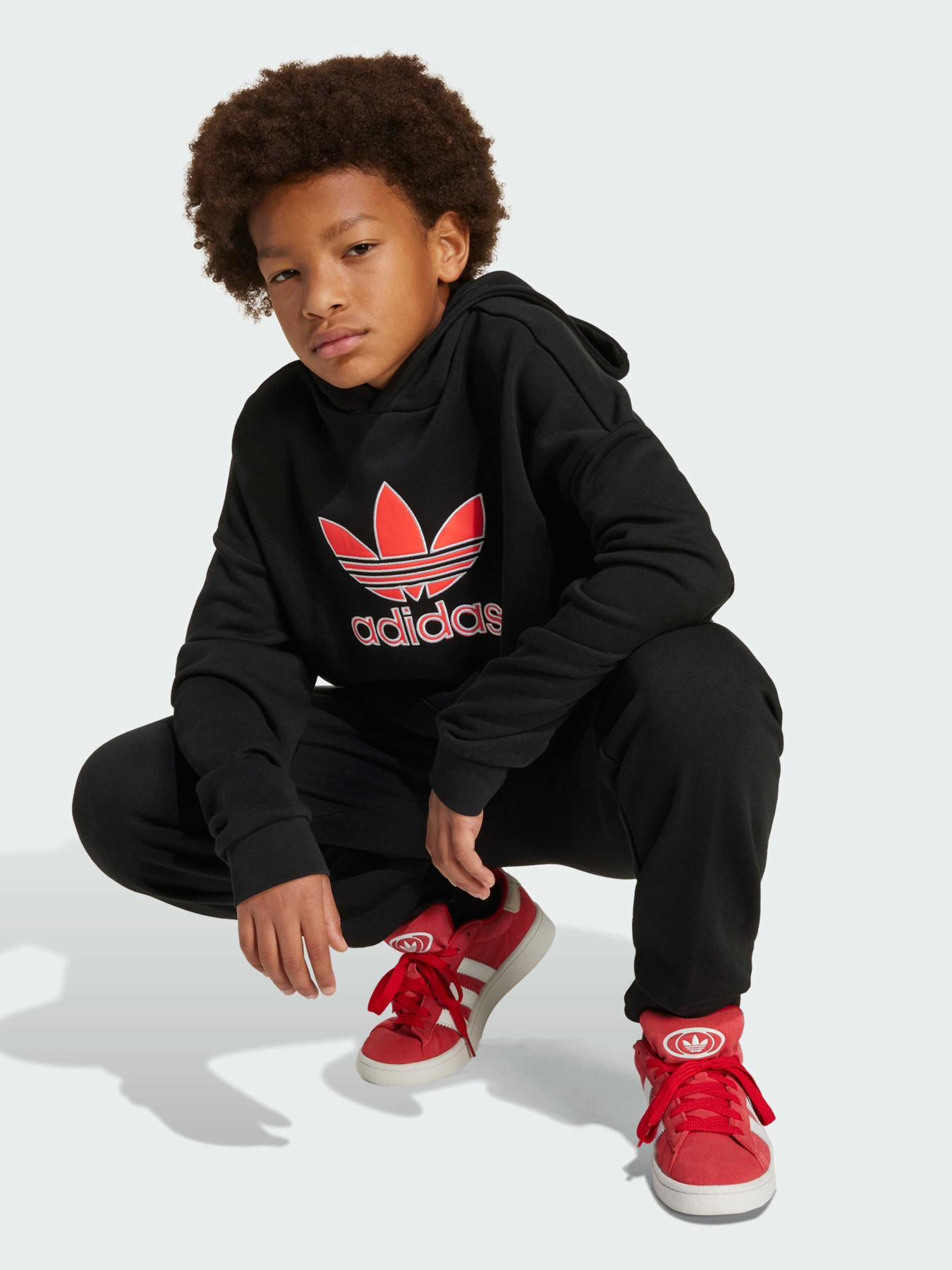 Худи Adidas Adicolor модель JV8637 Фото