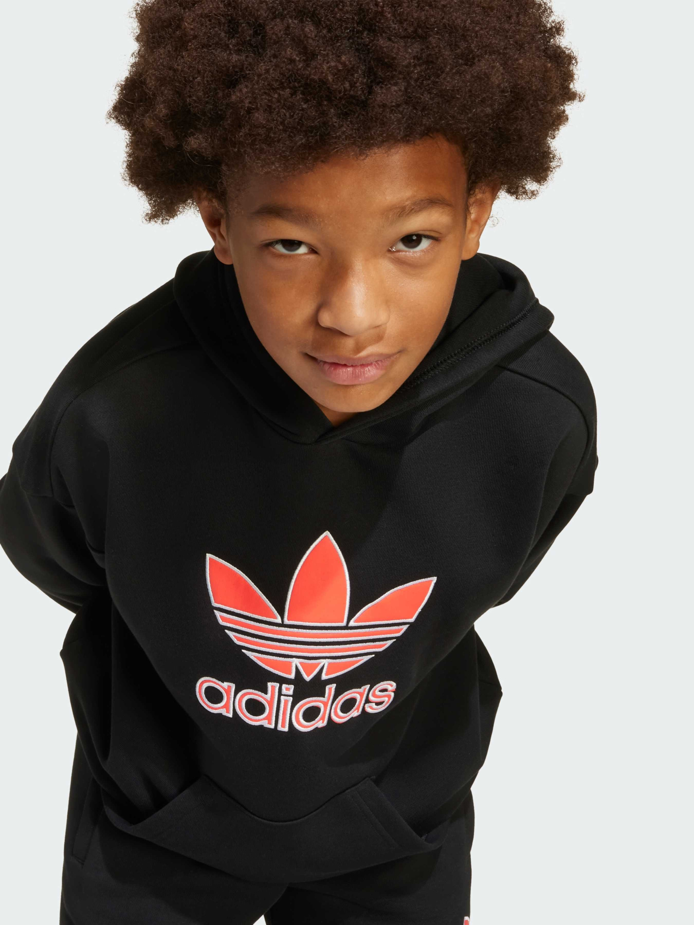 Худи Adidas Adicolor модель JV8637 Фото