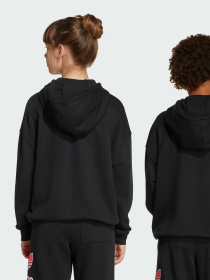 Худи Adidas Adicolor модель JV8637 Худи Adidas Adicolor модель JV8637 Фото