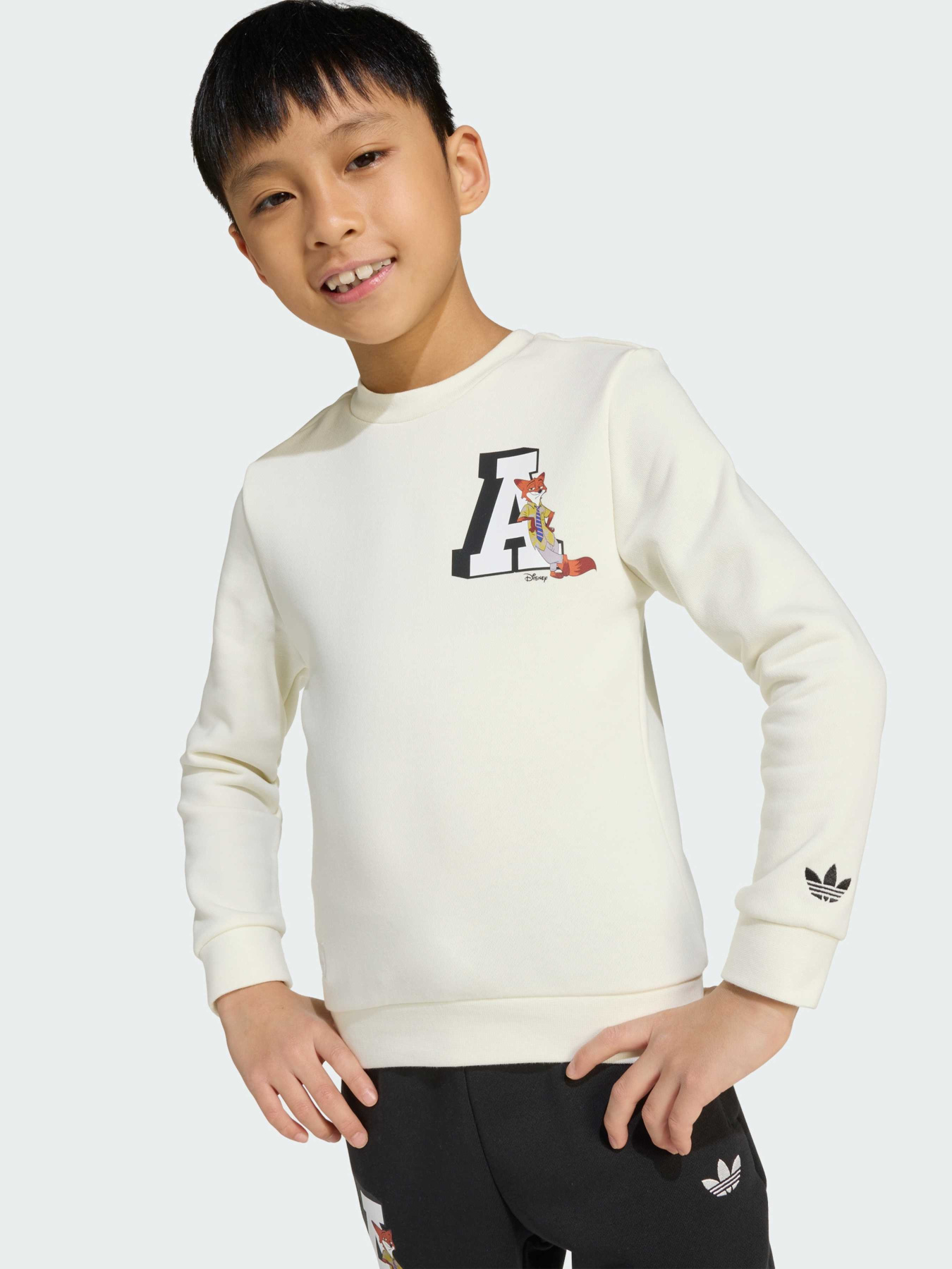 Спортивный костюм Adidas Graphics модель JX3018 Фото