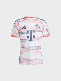 Футболка Adidas модель JJ2143 Фото