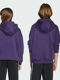 Худи Adidas Adicolor модель JV8653 Фото