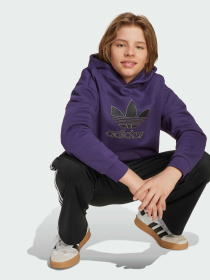 Худи Adidas Adicolor модель JV8653 Фото