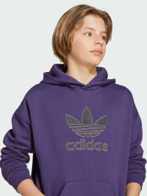 Худи Adidas Adicolor модель JV8653 Фото