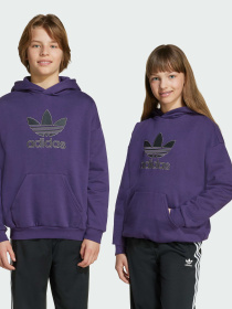 Худи Adidas Adicolor модель JV8653 Фото