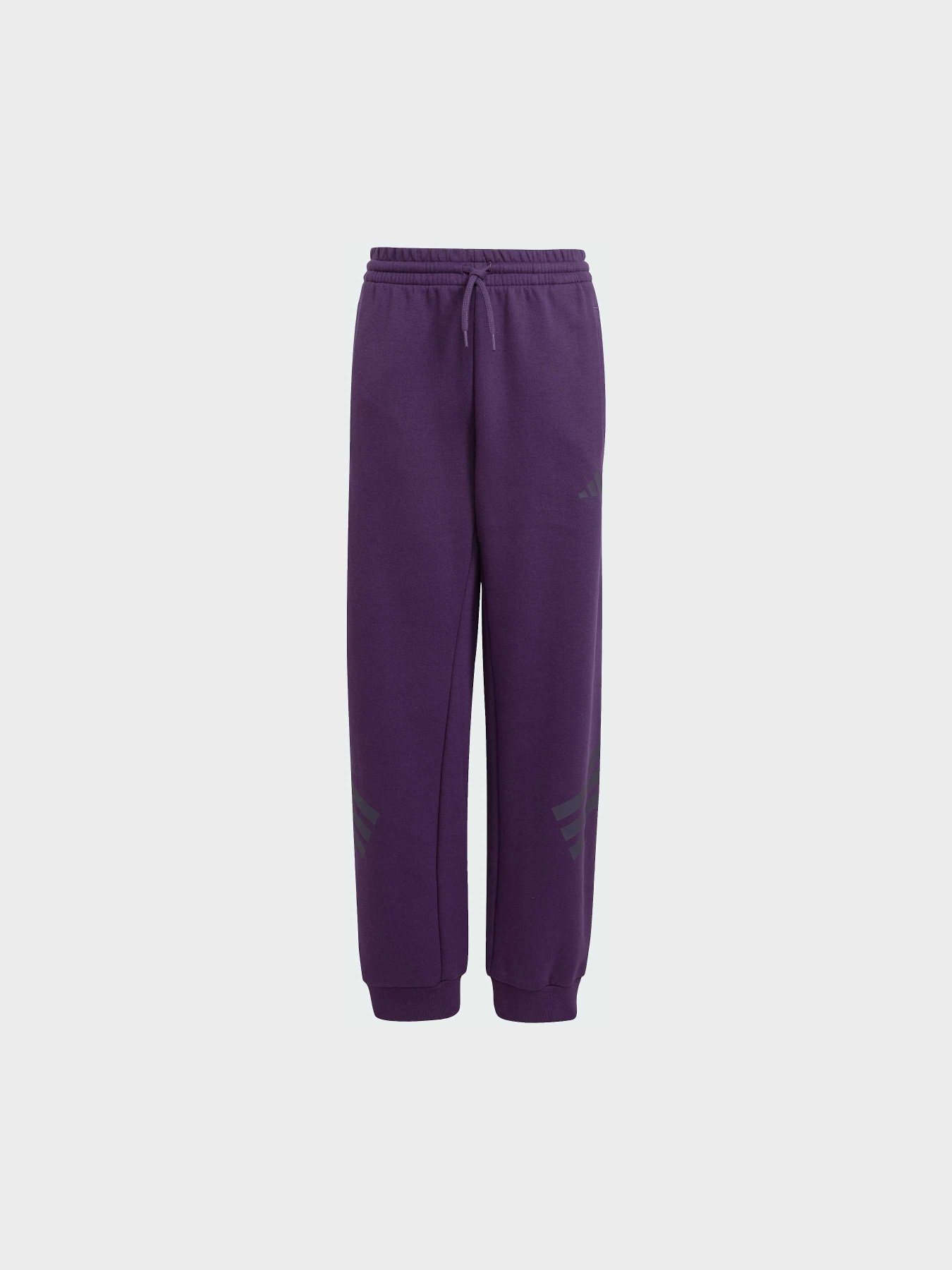 Джоггеры Adidas модель JW7524 Фото