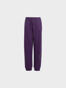 Джоггеры Adidas модель JW7524 Фото