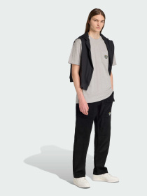 Брюки повседневные Adidas Graphics модель JY3003 Фото